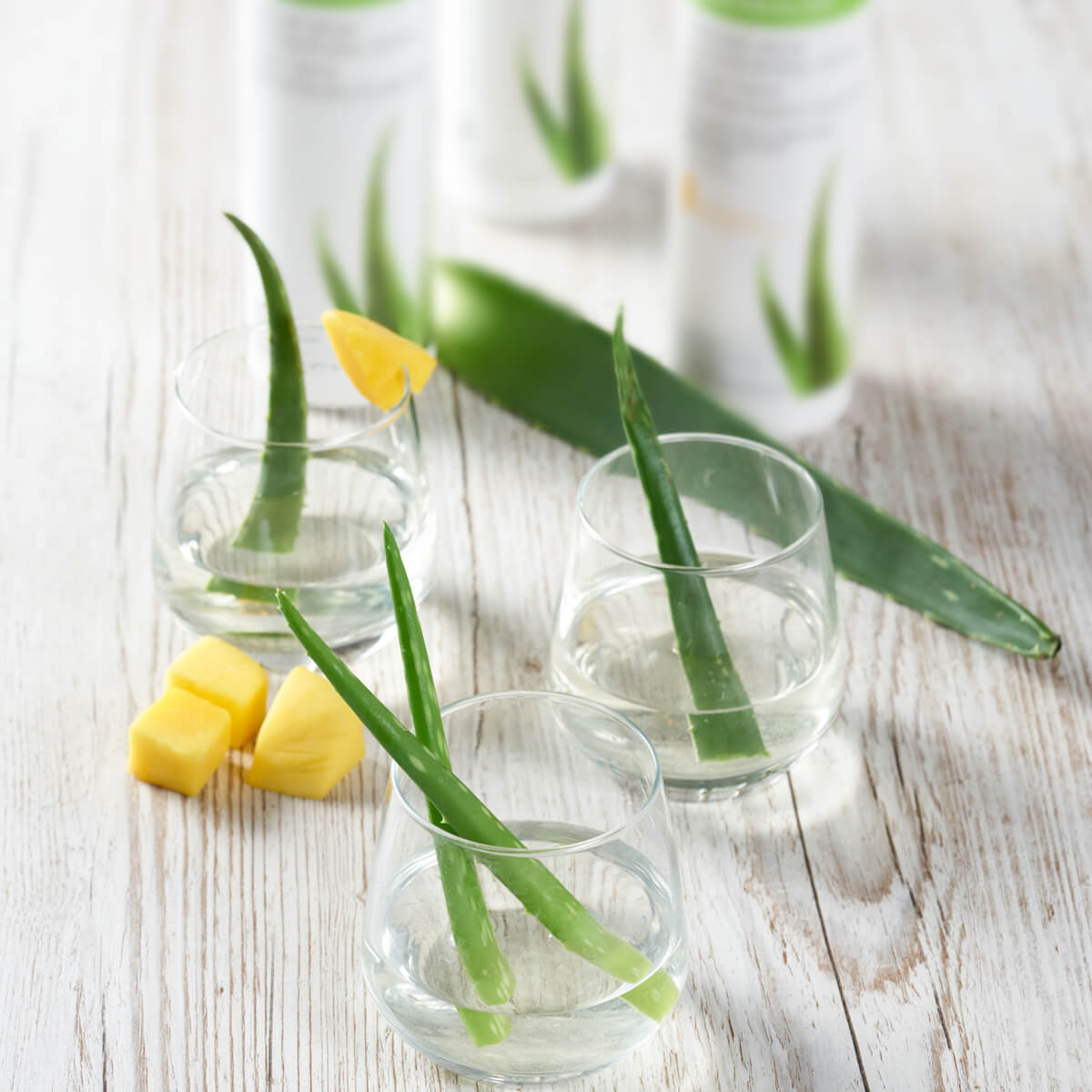 aloe vera herbalife drink Shakes | Vitamins | Protein | Weight Loss Drinks | Health | Skin